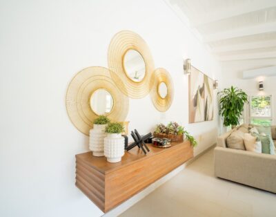 Vivero 25